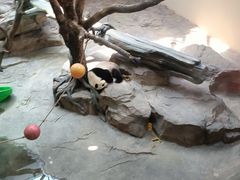 -宁波野生动物园