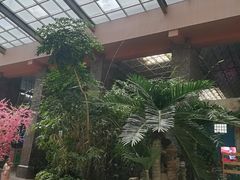 -九华山酒店温泉