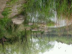 android_upload_pic-新江湾城公园