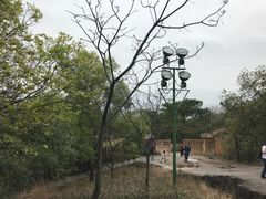 -榴花公园