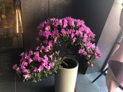 -望京辣宴·古法川菜(望京店)
