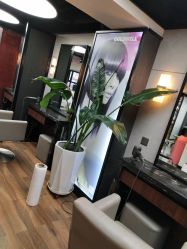 -Z.X HAIR SALON张新美业