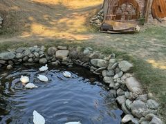 -HERRE·FARM 赫尔露营农场·团建聚会包场