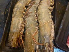 -熊出没日本烧肉放题