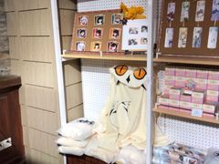-IPSTAR·潮玩星球·主题店