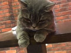 -B.O.M波姆烘焙(凤凰街店)