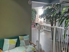 -东方名猫馆·英短金渐层布偶猫舍(环线广场1号楼店)