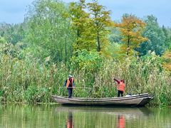 -溱湖国家湿地公园