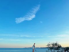 -大梅沙海滨公园