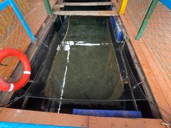 -蓝湾碧波·老字号·疍家非遗海上餐厅