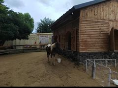 -HERRE·FARM 赫尔露营农场·团建聚会包场