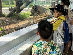 -西霞口神雕山野生动物世界