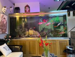 -雕哥的纹身店A3 TATTOO&纹身培训