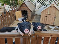 -HERRE·FARM 赫尔露营农场·团建聚会包场