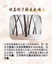 -木北造型