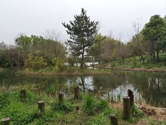 -昆山城市生态森林公园