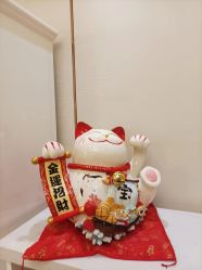 -茜尔维亚修身连锁(杨浦五角场店)