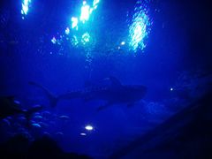 -成都浩海立方海洋公园