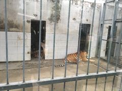 -水绘园