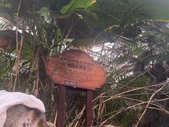 -龙达温泉生态城