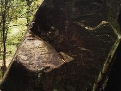 -姑婆山旅游区