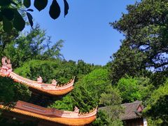 -普陀山风景区-佛顶山
