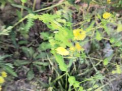 -回龙观体育文化公园