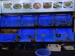 -莲花公园煎蟹(总店)