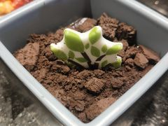 -韩盛·盛江山自助料理(奥体万达店)