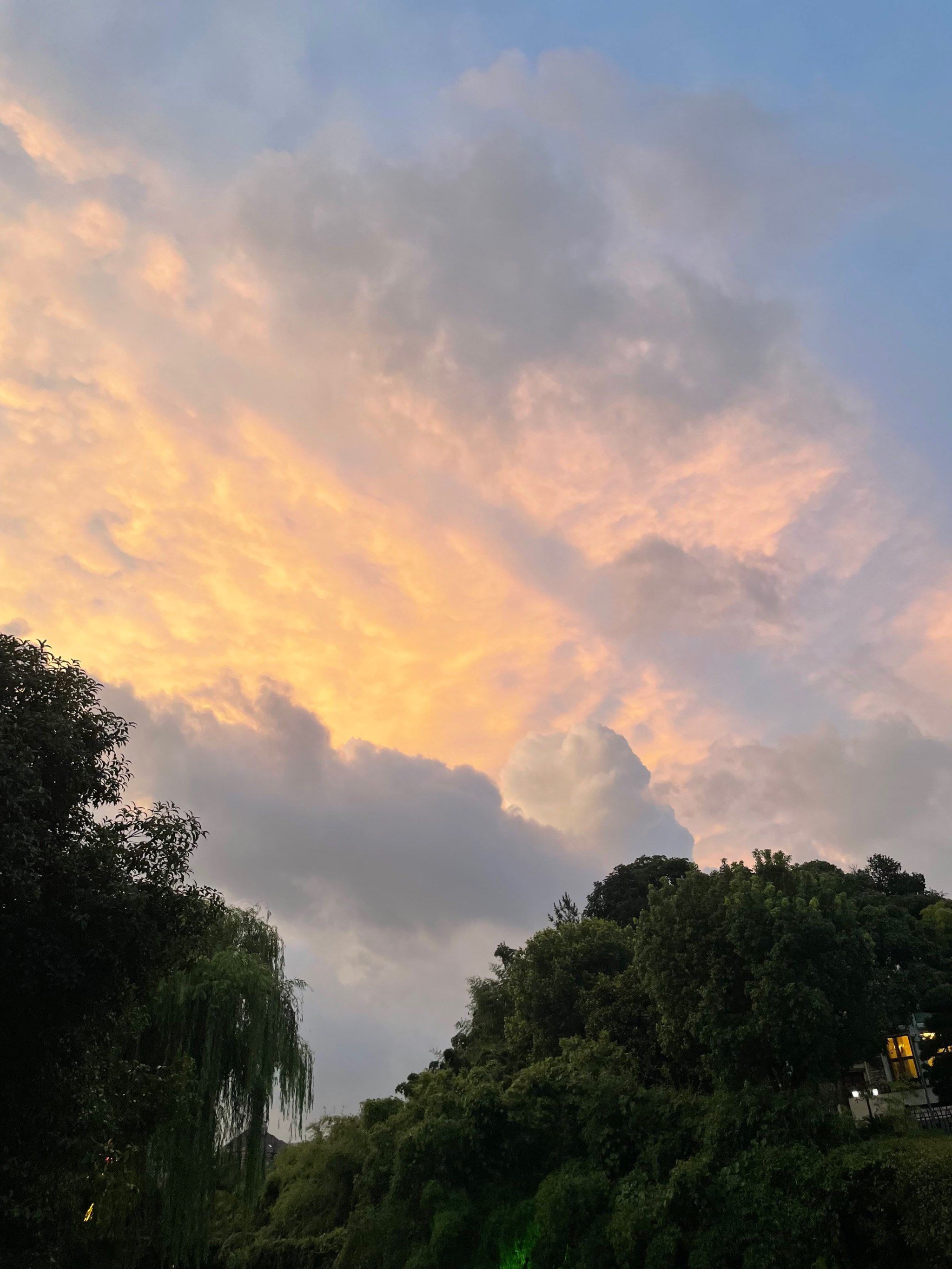 0元玩转这座城
雷雨未至
每到夏天的傍晚,看着天空骤变,总会期待