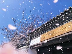-辛庄国际文化艺术区