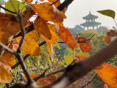 -北京西山国家森林公园