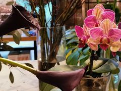 -GOTLOT COFFEE&KITCHEN角落厨房NOOK店