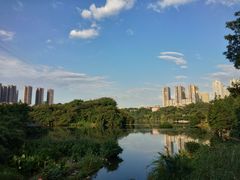 -重庆彩云湖湿地公园