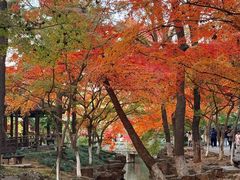 -虞山风景区
