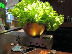 -九田家黑牛烤肉料理(新辰里亚运村店)