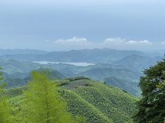 -莫干山风景区