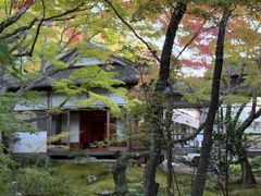 -常寂光寺