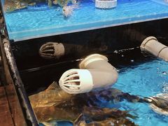 -苏格里岛自助海鲜烤肉火锅(集美万达店)