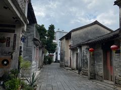 -杨梅坑