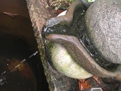 -浙C老邻舍(西城海错店)