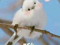 -吉林大药房益生堂健康调理中心(红旗街店)