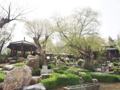 -中国唐苑