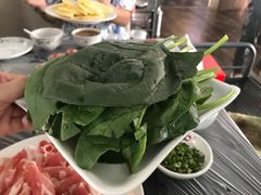 菠菜-鑫龙火锅城(青岛分店)