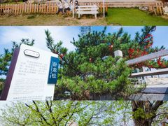 -沂蒙山旅游区龟蒙景区