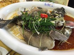 -花好悦园(瀛洲店)