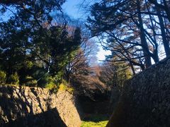 -名古屋城