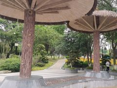 -铁山坪森林公园