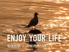 -深圳湾公园(南山区)