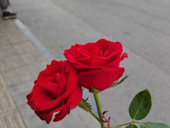 -蜜雪冰城(大明湖菜市新村店)